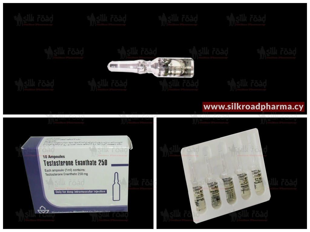 Buy Testosterone Enanthate 250mg-ml [i] silkroad online pharmacy